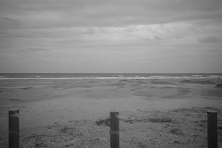 この日に（今週の動画配信は休止致します）