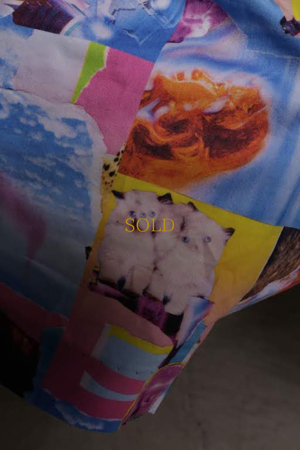 画像7: JUVENILE HALL ROLLCALL / ジュヴェナイルホールロールコール / 1266 / DISTOPIA PRINT SHORT PANTS (7)