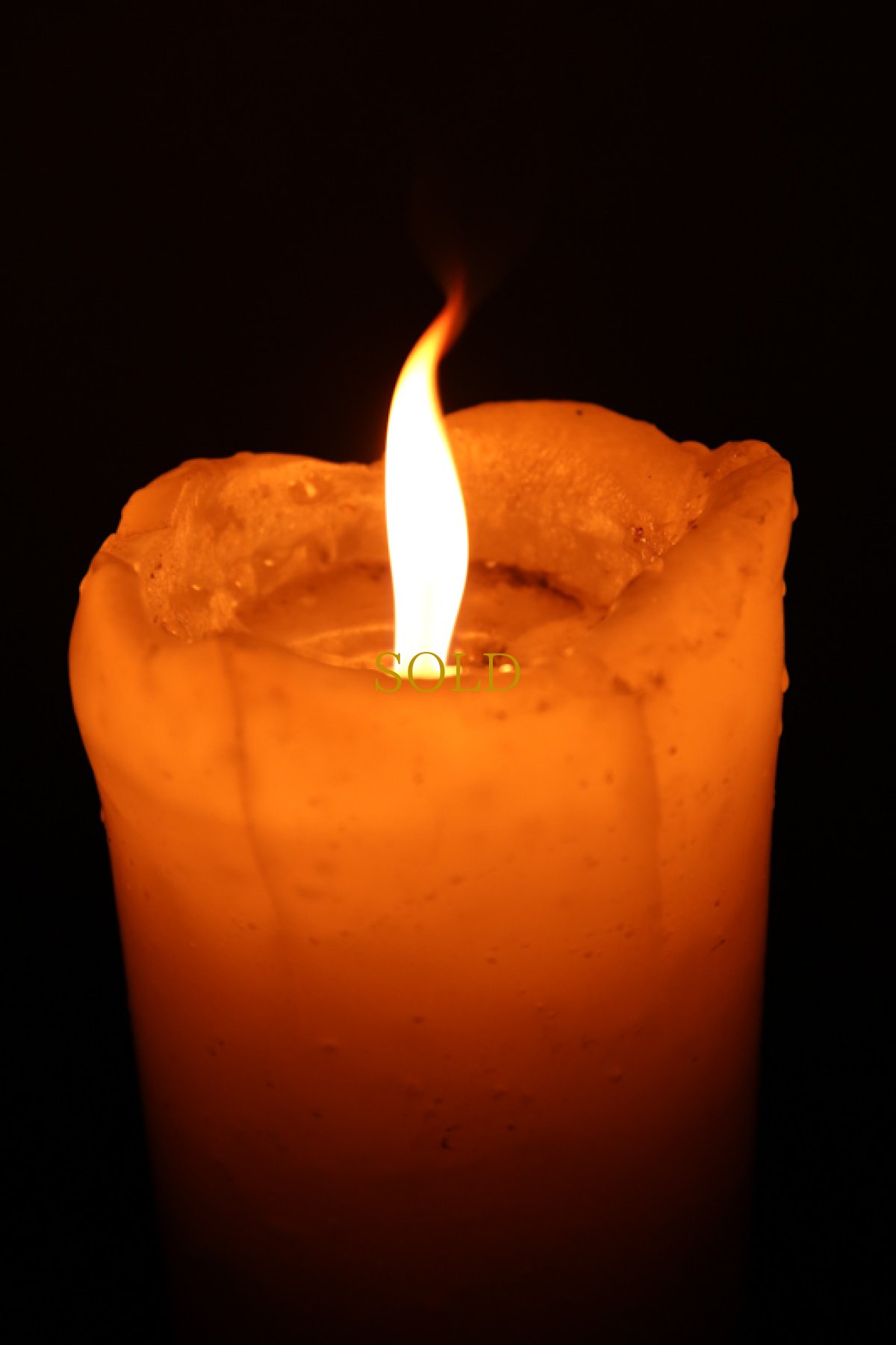 画像10: Candle JUNE / キャンドル・ジュン / 20110311-3 / EC9000-3SET (10)