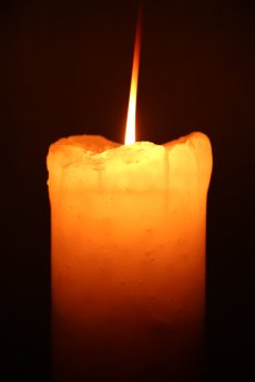 画像9: Candle JUNE / キャンドル・ジュン / 20110311-2 / EC3200-3SET (9)