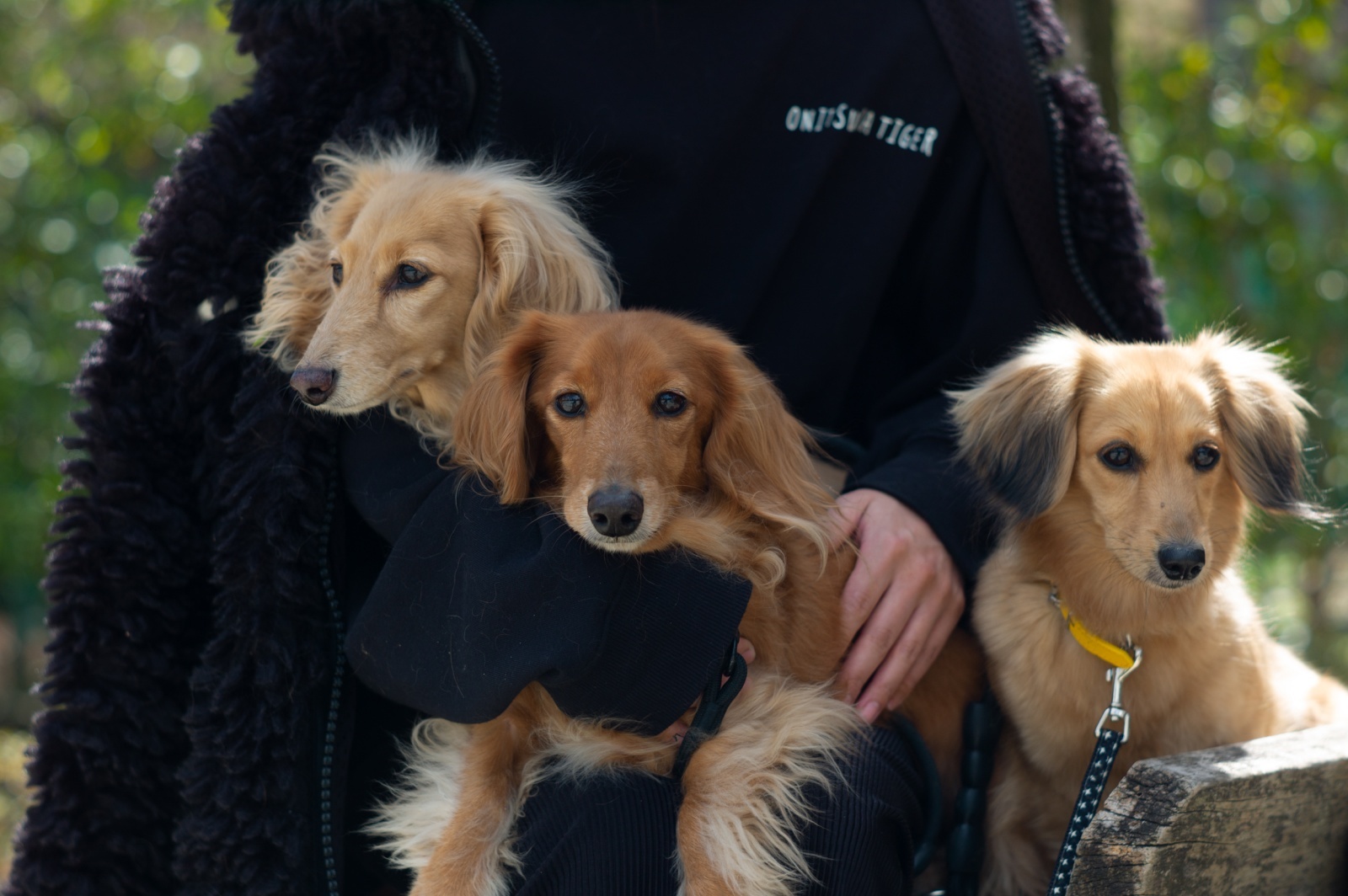 結婚記念日だった話（それはやっぱり特別な日）